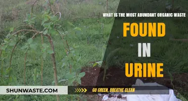 Unveiling the Most Abundant Organic Waste in Human Urine
