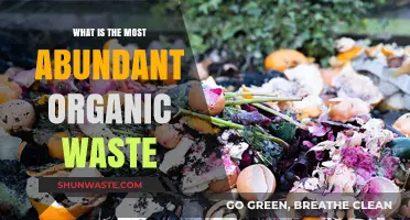 Unveiling the Most Abundant Organic Waste: Sources and Solutions