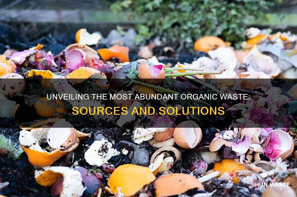 what is the most abundant organic waste