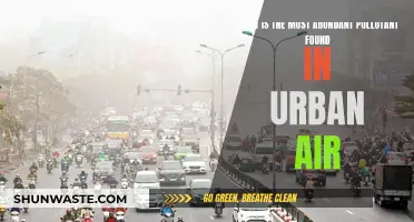 Urban Air: Uncovering the Most Common Pollutant