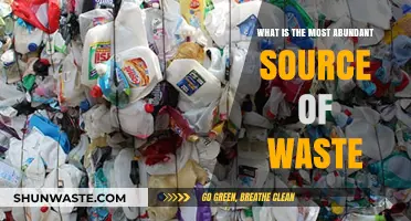 Unveiling the Most Abundant Source of Waste: A Global Crisis