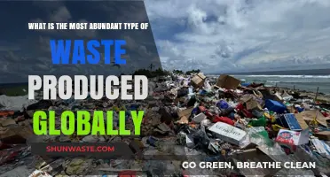 Global Waste Crisis: Identifying the Most Abundant Type of Discarded Material