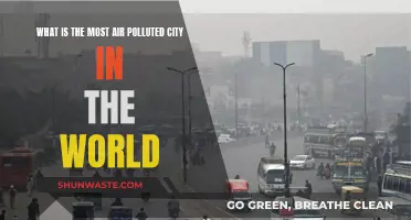 Air Pollution: Which City Suffers the Most?