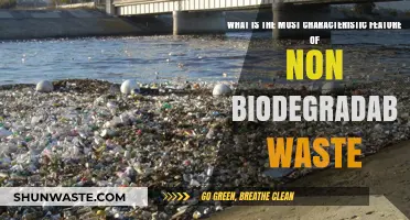 Non-Biodegradable Waste: The Persistent Environmental Challenge Explained