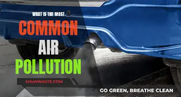 Air Pollution's Most Common Culprit: Uncovering the Main Offender