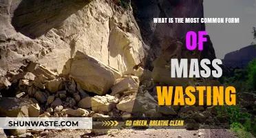 Understanding the Most Common Form of Mass Wasting: Causes and Prevention