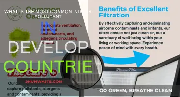 Indoor Air Quality: Unseen Pollutants in Developed Countries