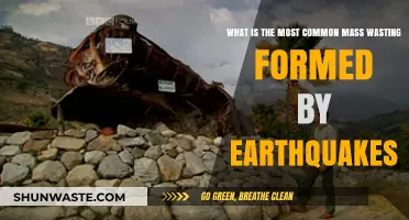 Earthquakes Trigger Landslides: The Most Common Mass Wasting Event