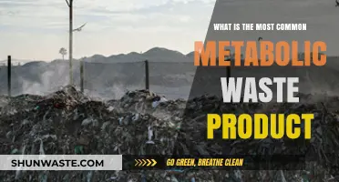 Understanding the Most Common Metabolic Waste Product: Carbon Dioxide Explained