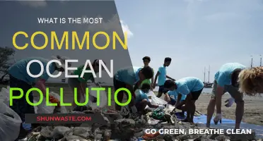 The Ocean's Most Common Pollution Problem