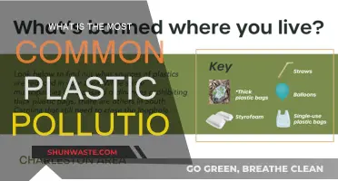 Plastic Pollution: The Most Common Types and Their Impact