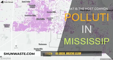 Mississippi's Pollution Problem: What's the Main Culprit?