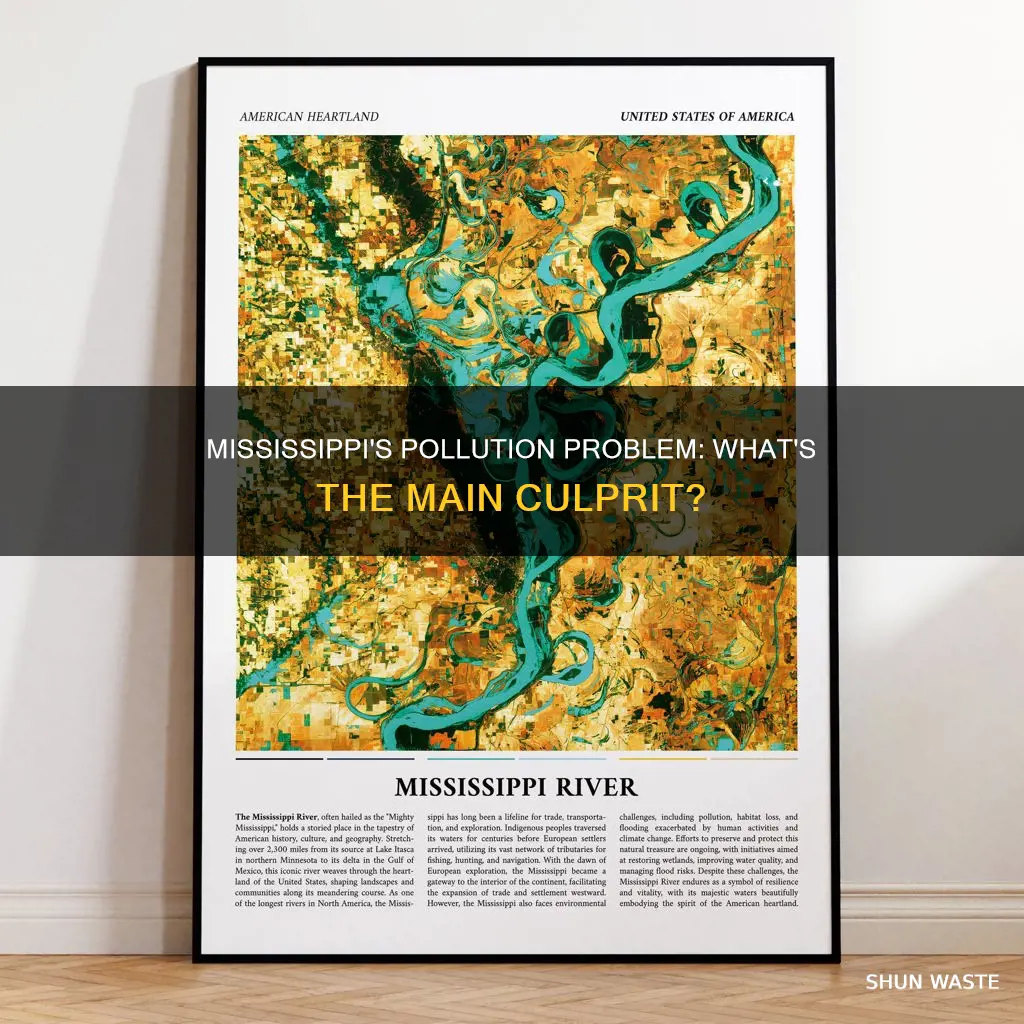 what is the most common pollution in mississippi