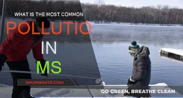 Common Pollutants in Mississippi: What's Harming the State?