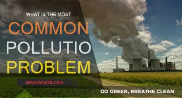 Air, Water, Soil: Pollution's Impact