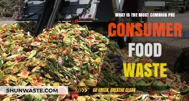 Understanding Pre-Consumer Food Waste: The Most Common Culprits