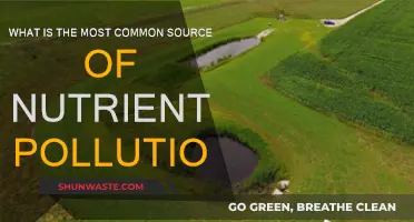 Sources of Nutrient Pollution: Agricultural Runoff and its Impact