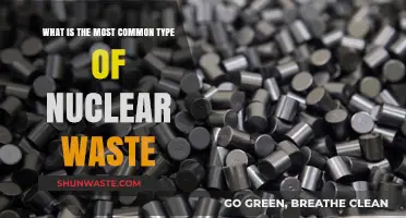 Understanding the Most Prevalent Form of Nuclear Waste and Its Impact