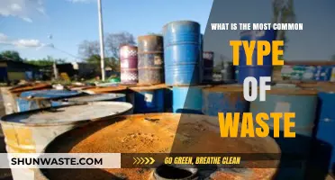 Understanding the Most Common Type of Waste and Its Impact