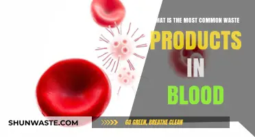 Understanding Blood Waste: Common Byproducts and Their Impact on Health