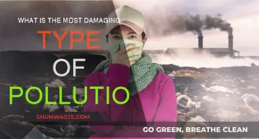 The Most Damaging Pollution: A Threat to Our Existence