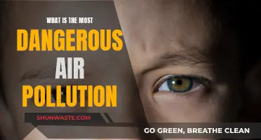 Deadly Air: The Most Dangerous Types of Pollution