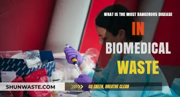 Deadly Pathogens: The Most Dangerous Disease in Biomedical Waste