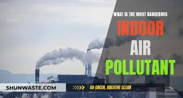 Deadly Indoor Air: The Most Toxic Pollutant Revealed