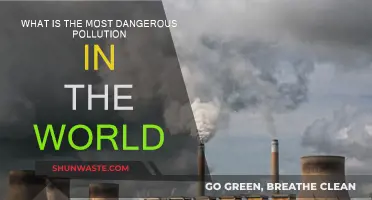 Deadly Pollution: The Most Dangerous Toxins on Earth