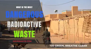 Unveiling the Deadliest Radioactive Waste: A Threat to Humanity's Future
