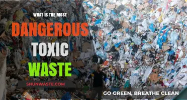 Deadly Hazards: Unveiling the World's Most Dangerous Toxic Waste Threats