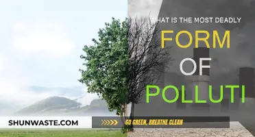 Deadly Pollution: The Most Lethal Form Revealed