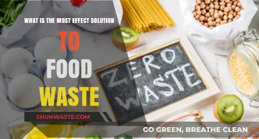 Combatting Food Waste: The Most Effective Solutions Revealed