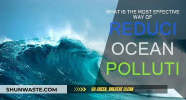 Ocean Pollution: Strategies for Effective Reduction