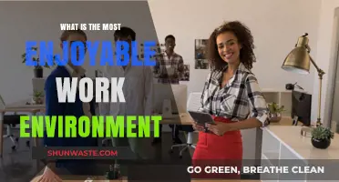 Crafting the Ideal Workplace: Key Elements for Maximum Enjoyment