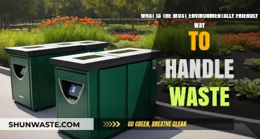 Sustainable Waste Management: Eco-Friendly Solutions for a Greener Future