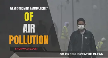 Air Pollution: The Silent Killer's Worst Impact