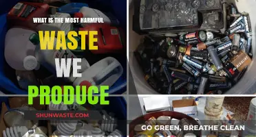 The Most Harmful Waste We Produce: Uncovering the Silent Killers
