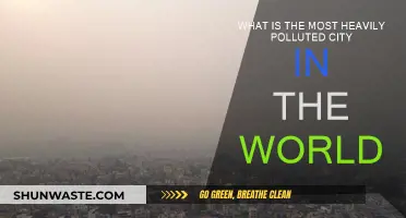 World's Most Polluted City: A Battle for Clean Air
