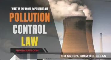 Air Pollution: Understanding the Crucial Law
