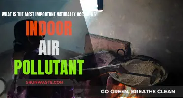 Understanding Indoor Air: Natural Pollutants and Their Impact