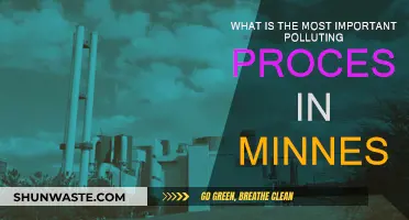 Minnesota's Most Polluting Process Revealed