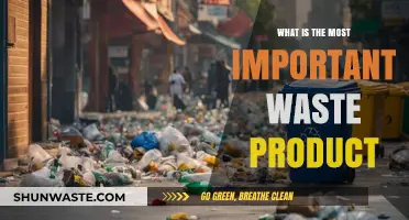 The Most Critical Waste Product: Unveiling Its Impact and Importance