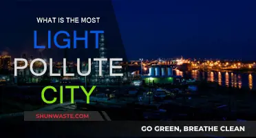 Light Pollution: The Darkest City on Earth