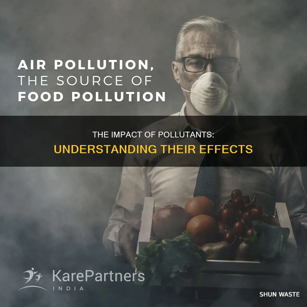 what is the most likely effect of a pollutant