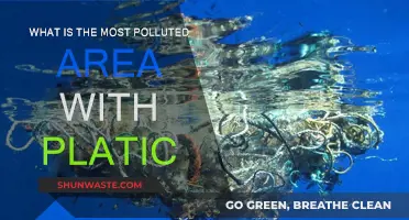 Plastic Pollution: The World's Most Toxic Hotspots
