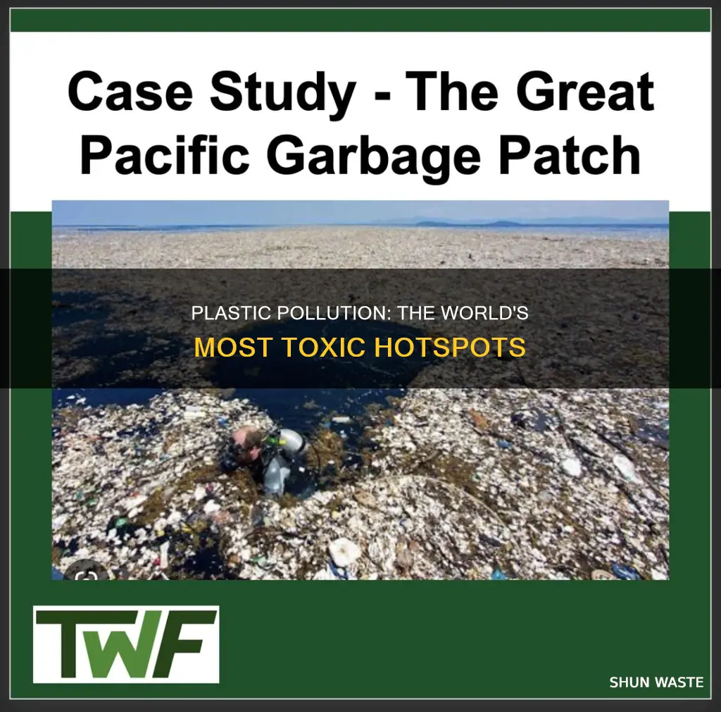 what is the most polluted area with platic