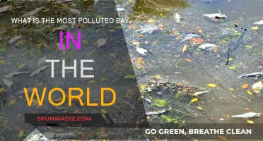 The World's Most Polluted Bay: A Troubled Waterway
