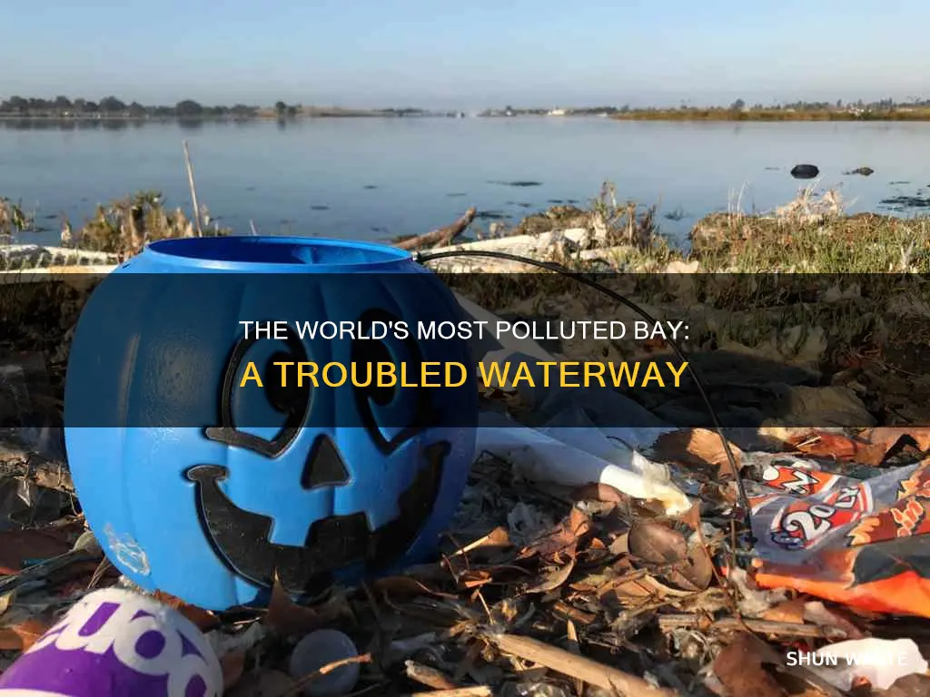 what is the most polluted bay in the world