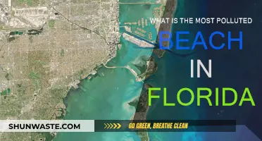 Florida's Most Polluted Beach: A Troubling Truth